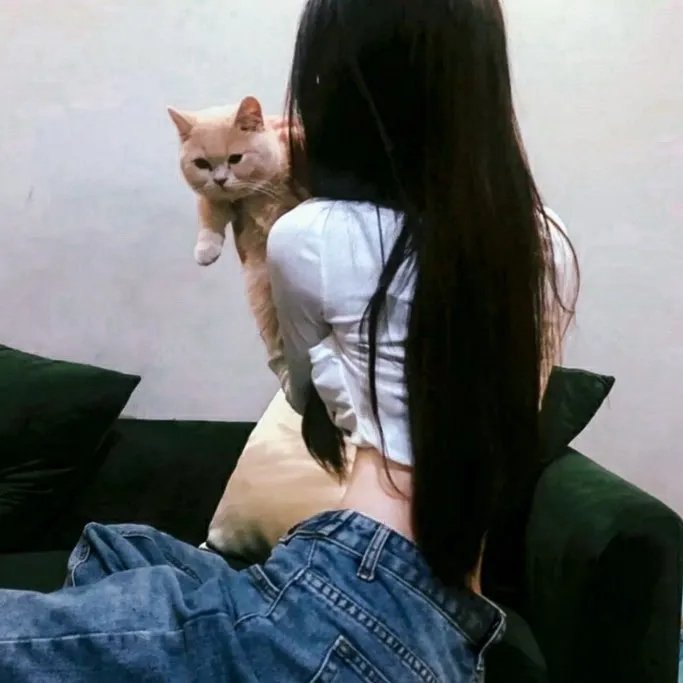铁马战车粤语